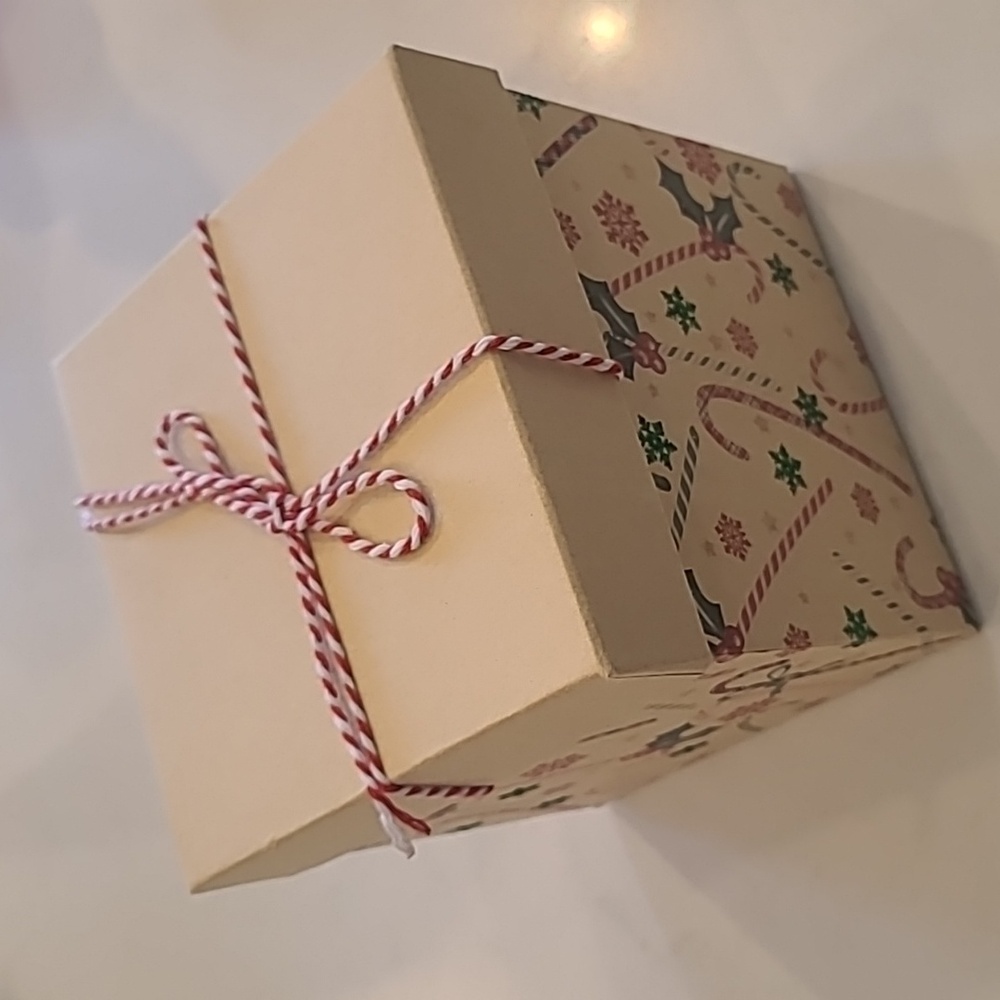 New Christmas Holiday Box
